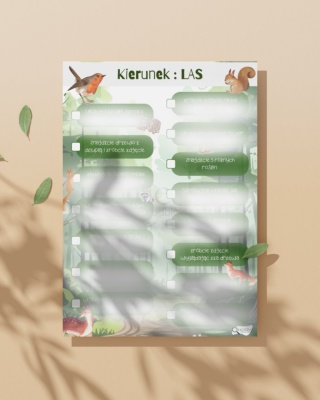 Kierunek : LAS
